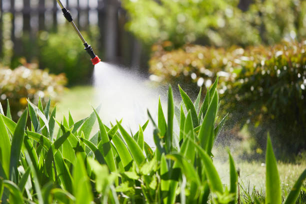 Tamper-Resistant Bait Stations for Rodents in Oxford