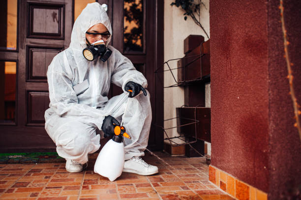 Attic and Crawl Space Rodent Treatment in Oxford